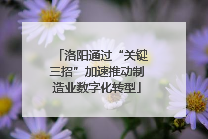 洛阳通过“关键三招”加速推动制造业数字化转型