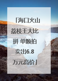 海口火山荔枝王大比拼 单颗拍卖出6.8万元高价