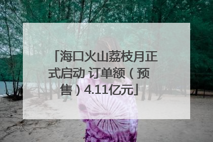 海口火山荔枝月正式启动 订单额（预售）4.11亿元