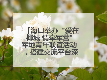 海口举办“爱在椰城 情牵军营”军地青年联谊活动，搭建交流平台深化双拥工作