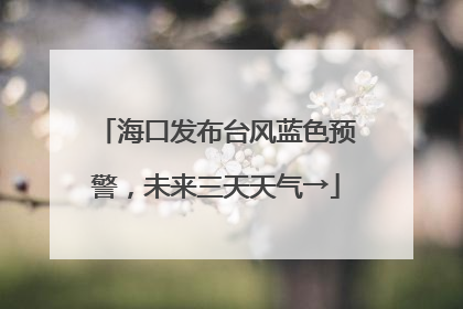 海口发布台风蓝色预警，未来三天天气→