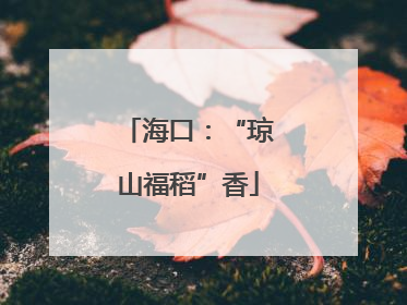 海口：“琼山福稻”香