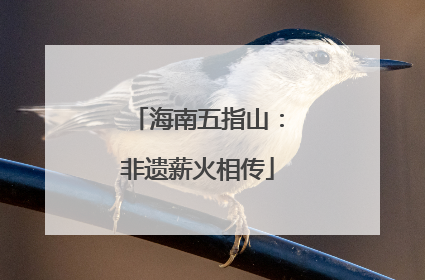 海南五指山：非遗薪火相传