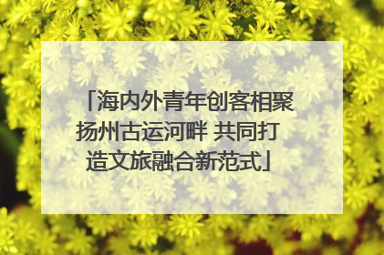 海内外青年创客相聚扬州古运河畔 共同打造文旅融合新范式