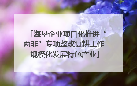 海垦企业项目化推进“两非”专项整改复耕工作 规模化发展特色产业