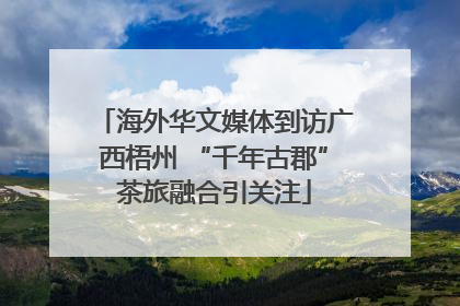 海外华文媒体到访广西梧州 “千年古郡”茶旅融合引关注