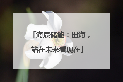 海辰储能：出海，站在未来看现在