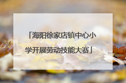 海阳徐家店镇中心小学开展劳动技能大赛