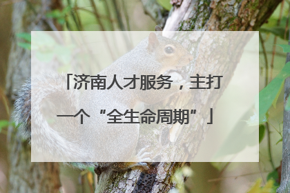 济南人才服务，主打一个“全生命周期”