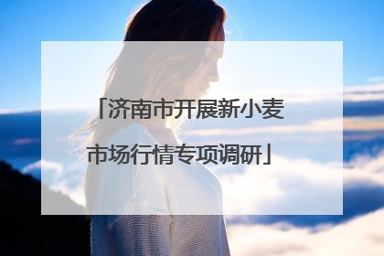 济南市开展新小麦市场行情专项调研