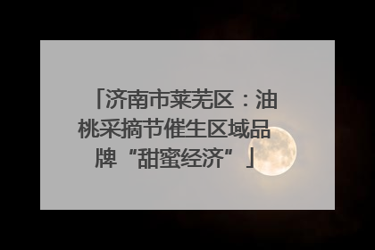 济南市莱芜区：油桃采摘节催生区域品牌“甜蜜经济”