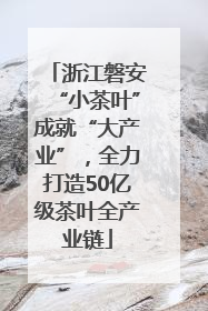浙江磐安“小茶叶”成就“大产业”，全力打造50亿级茶叶全产业链