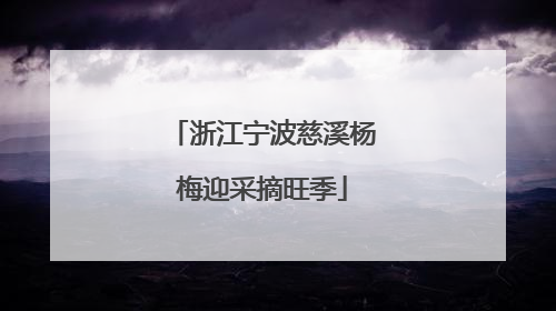 浙江宁波慈溪杨梅迎采摘旺季