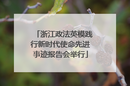 浙江政法英模践行新时代使命先进事迹报告会举行