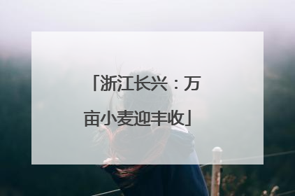 浙江长兴：万亩小麦迎丰收