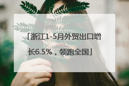 浙江1-5月外贸出口增长6.5%，领跑全国