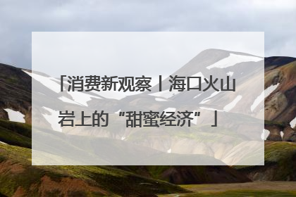 消费新观察丨海口火山岩上的“甜蜜经济”