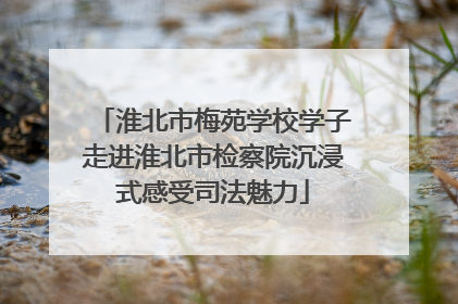 淮北市梅苑学校学子走进淮北市检察院沉浸式感受司法魅力
