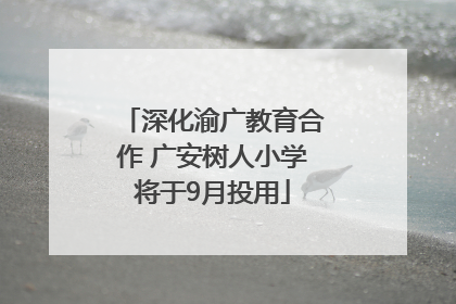 深化渝广教育合作 广安树人小学将于9月投用