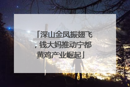 深山金凤振翅飞，钱大妈推动宁都黄鸡产业崛起