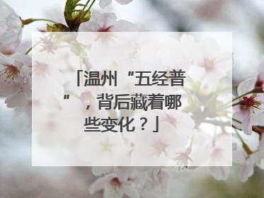 温州“五经普”，背后藏着哪些变化？