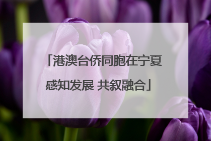 港澳台侨同胞在宁夏感知发展 共叙融合