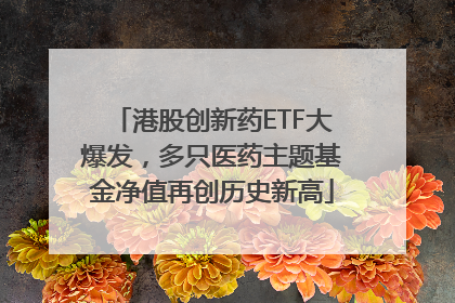 港股创新药ETF大爆发，多只医药主题基金净值再创历史新高