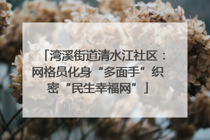 湾溪街道清水江社区：网格员化身“多面手”织密“民生幸福网”