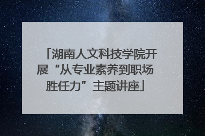 湖南人文科技学院开展“从专业素养到职场胜任力”主题讲座