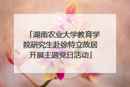 湖南农业大学教育学院研究生赴徐特立故居开展主题党日活动