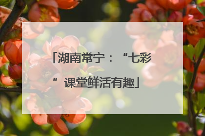 湖南常宁：“七彩”课堂鲜活有趣