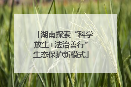 湖南探索“科学放生+法治善行”生态保护新模式
