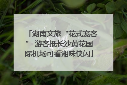 湖南文旅“花式宠客” 游客抵长沙黄花国际机场可看湘味快闪