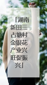 湖南新田三占塘村金银花产业兴旺促振兴