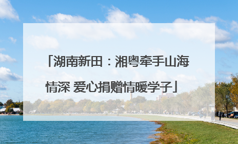 湖南新田：湘粤牵手山海情深 爱心捐赠情暖学子
