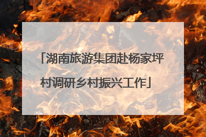 湖南旅游集团赴杨家坪村调研乡村振兴工作