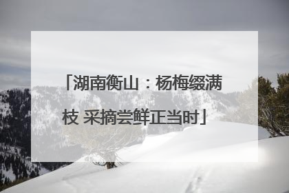 湖南衡山：杨梅缀满枝 采摘尝鲜正当时