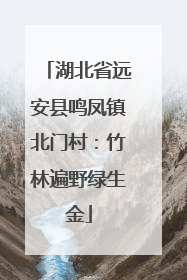 湖北省远安县鸣凤镇北门村：竹林遍野绿生金