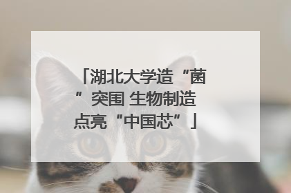湖北大学造“菌”突围 生物制造点亮“中国芯”