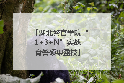 湖北警官学院“1+3+N”实战育警硕果盈枝