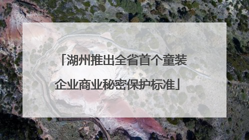 湖州推出全省首个童装企业商业秘密保护标准