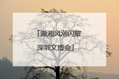 湖湘风潮闪耀深圳文博会