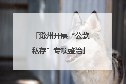 滁州开展“公款私存”专项整治