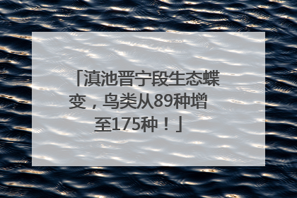 滇池晋宁段生态蝶变，鸟类从89种增至175种！
