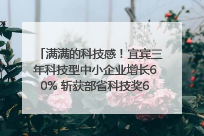 满满的科技感！宜宾三年科技型中小企业增长60% 斩获部省科技奖6项｜您牵挂的四川