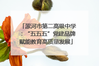 漯河市第二高级中学：“五五五”党建品牌赋能教育高质量发展
