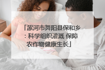 漯河市舞阳县保和乡：科学组织灌溉 保障农作物健康生长