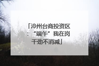 漳州台商投资区：“端午”我在岗 干劲不消减