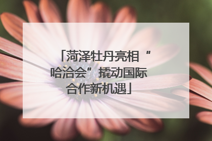 菏泽牡丹亮相“哈洽会”撬动国际合作新机遇