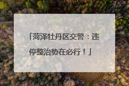 菏泽牡丹区交警：违停整治势在必行！